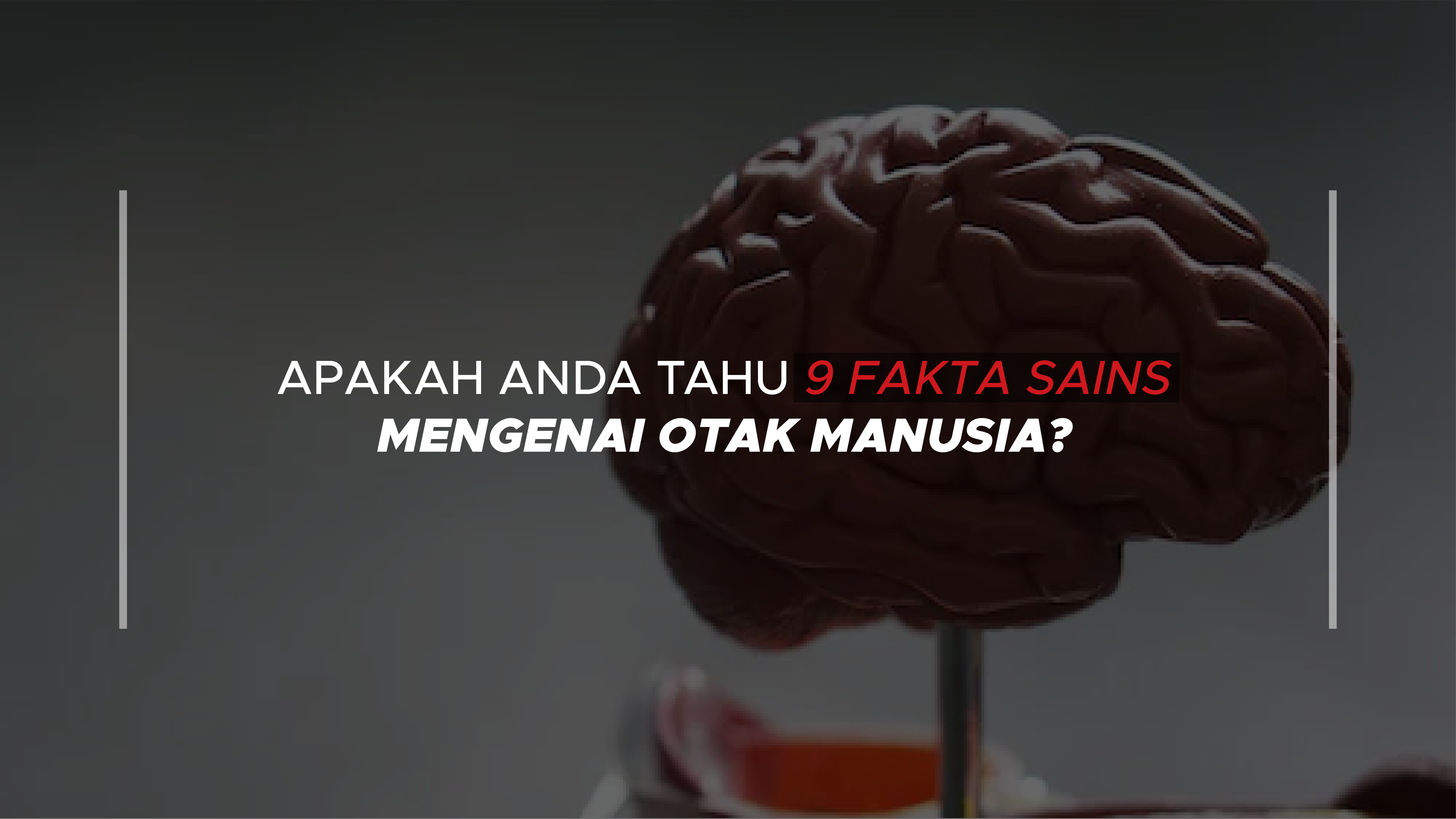 Apakah Anda Tahu 9 Fakta Sains Mengenai Otak Manusia?