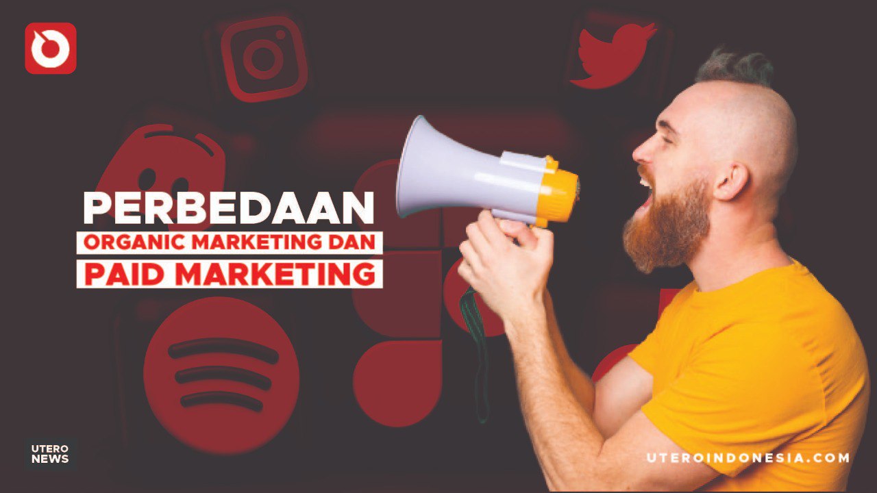 PERBEDAAN ORGANIC MARKETING DAN PAID MARKETING