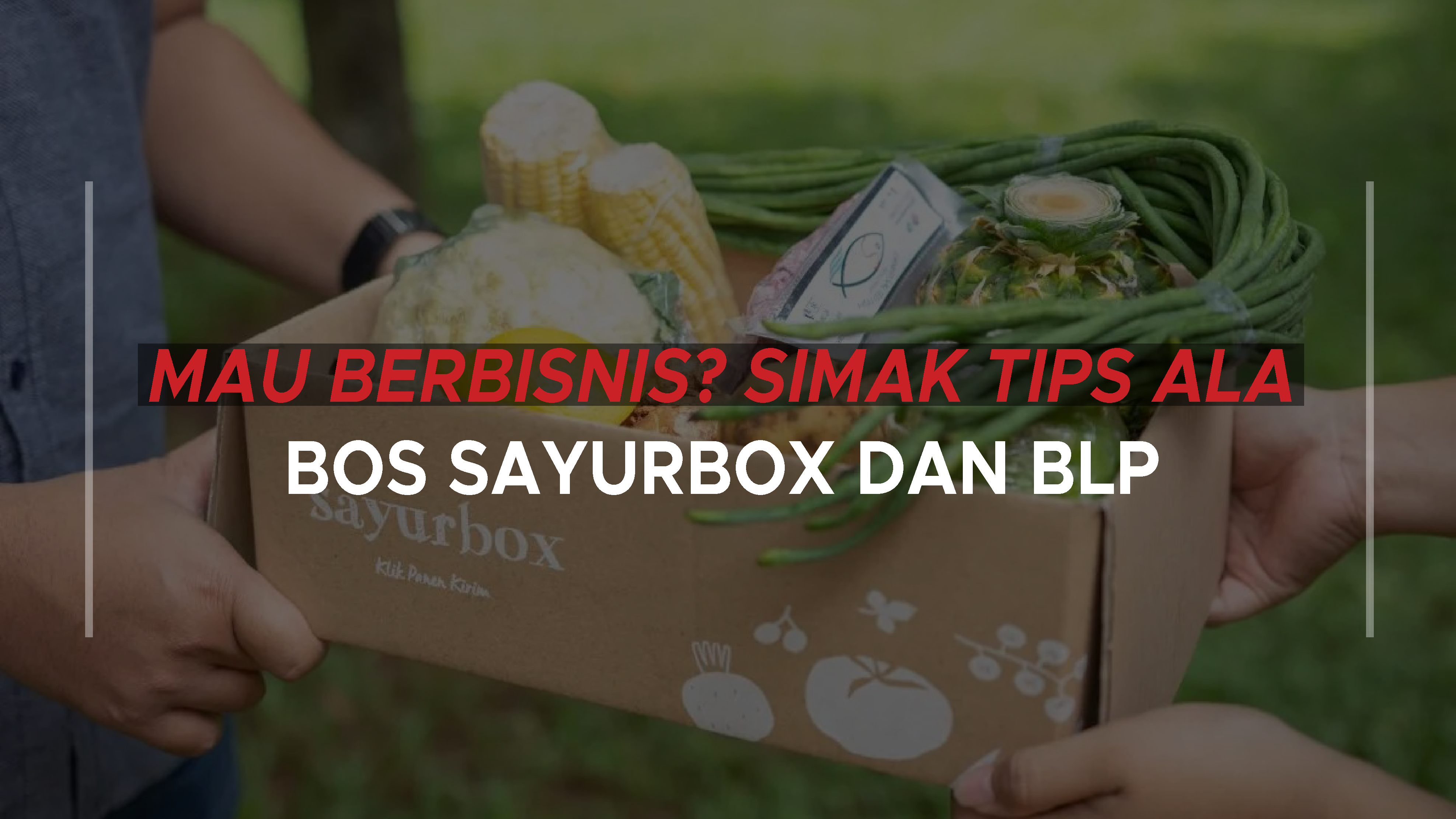 Mau Berbisnis? Simak Tips Ala Bos SayurBox dan BLP