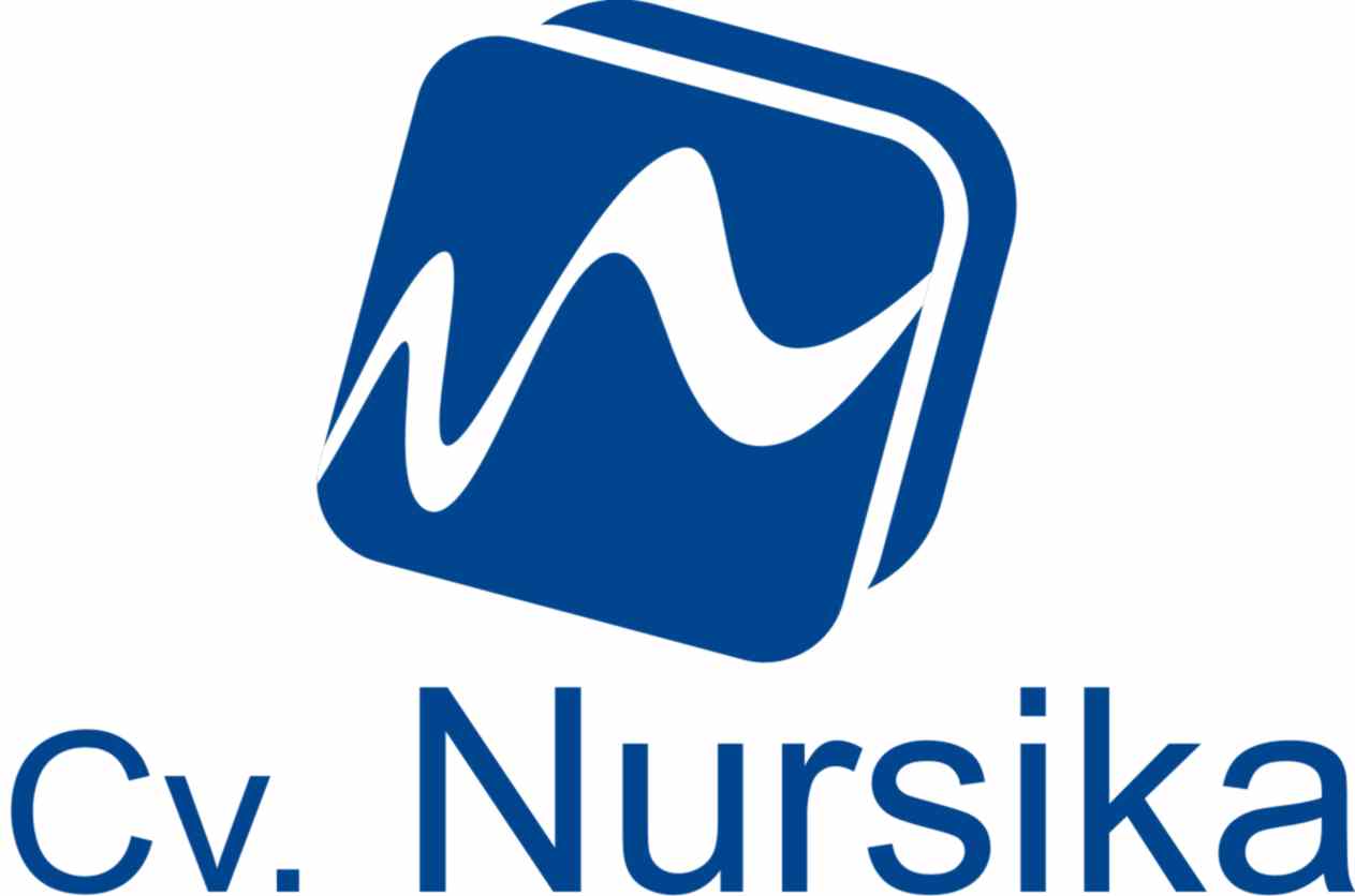 cv nursika